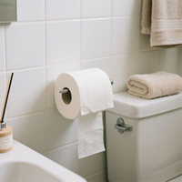 //inrorwxhkojklr5q-static.micyjz.com/cloud/llBpkKqklpSRklnljiipjq/Toilet-paper.jpg