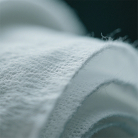 //inrorwxhkojklr5q-static.micyjz.com/cloud/lmBpkKqklpSRjloqnpkpjp/Nonwoven.jpg