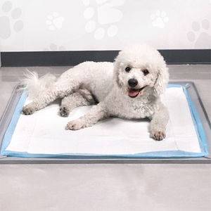 disposable pet pads.jpg