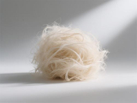 //inrorwxhkojklr5q-static.micyjz.com/cloud/lrBpkKqklpSRklrlpolnjp/Wood-pulp.jpg